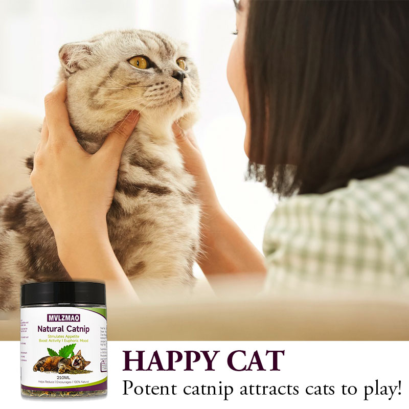 Juguetes para gatos: hierba ga - Herbal Wellness Products reseña y precio